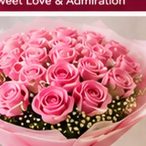 Grand Pink Roses Blush Wrap Bouquet