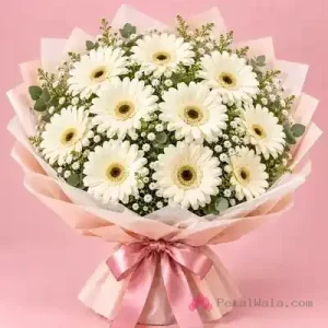 Ivory White Gerbera Bouquet - PetalWala
